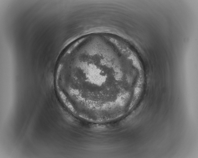 X0000112951505200909141357