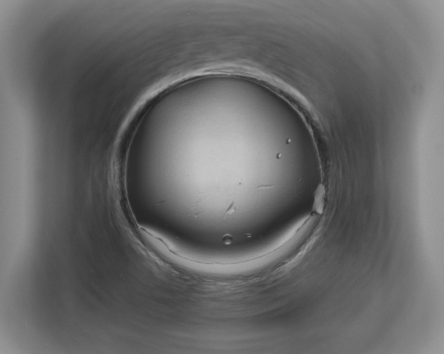 X0000112951506200909141357