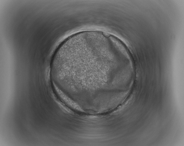 X0000112951507200909141357