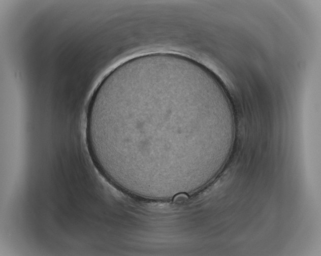 X0000112951508200909141357