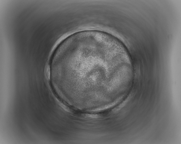 X0000112951509200909141357