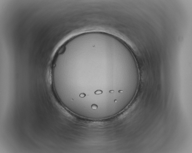 X0000112951510200909141357