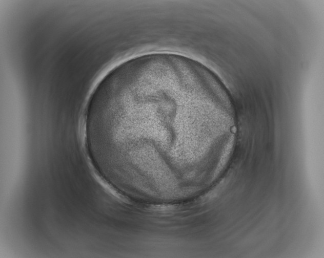 X0000112951511200909141357