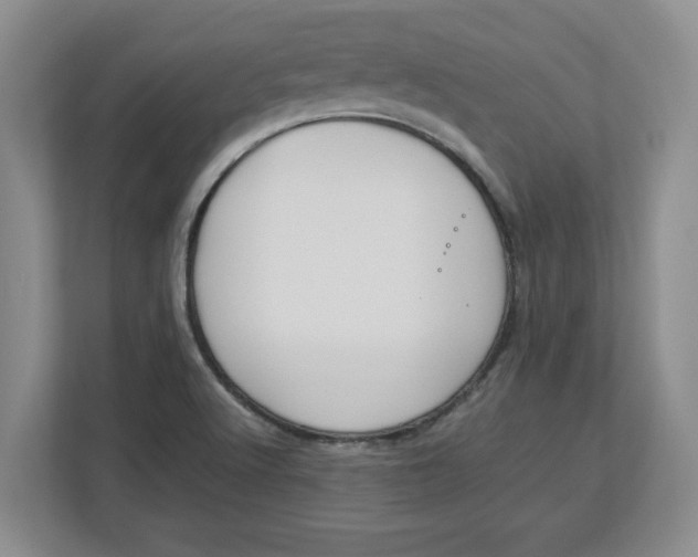 X0000112951512200909141357