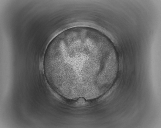 X0000112951513200909141357