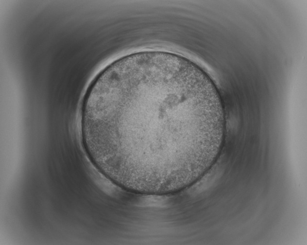 X0000112951514200909141357