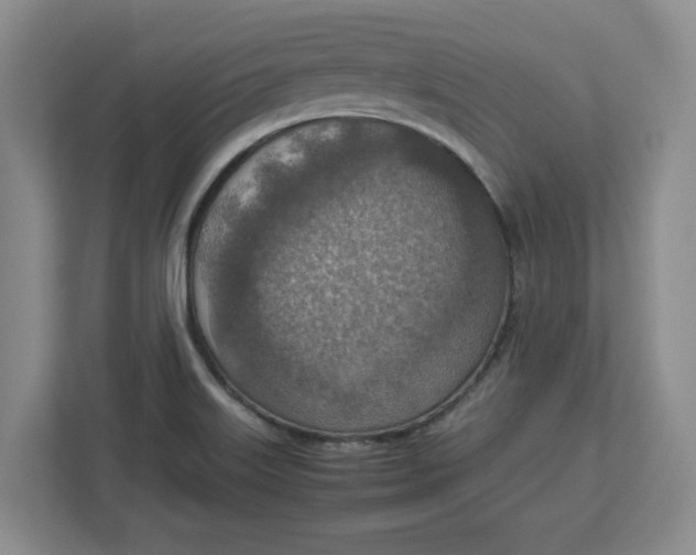 X0000112951515200909141357