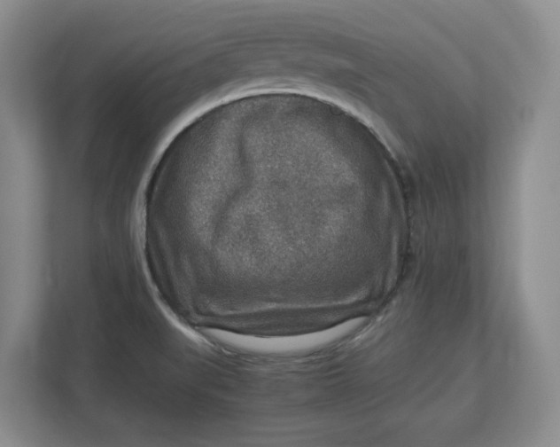 X0000112951519200909141357