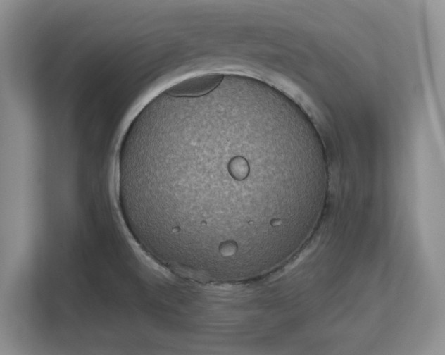 X0000112951520200909141357