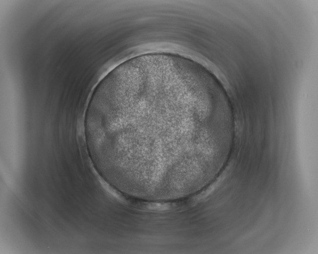 X0000112951521200909141357