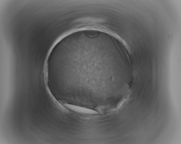 X0000112951522200909141357