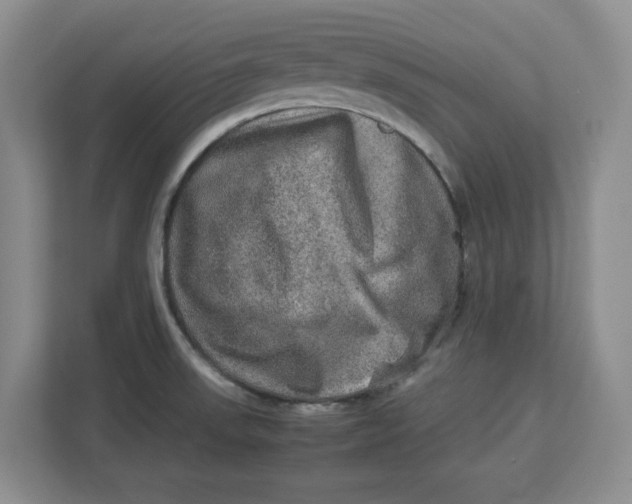 X0000112951523200909141357