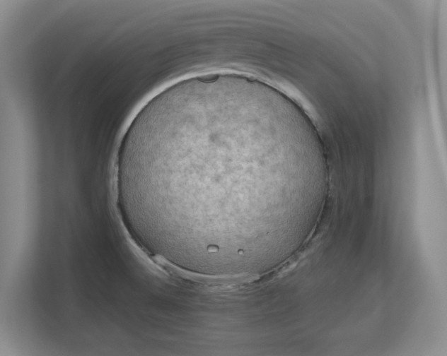 X0000112951524200909141357