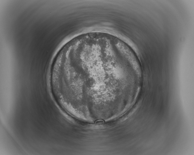 X0000112951525200909141357