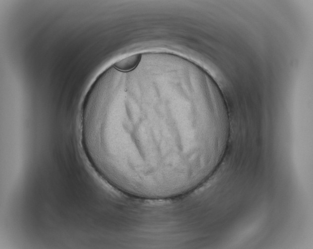 X0000112951526200909141357