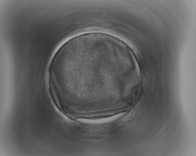 X0000112951527200909141357