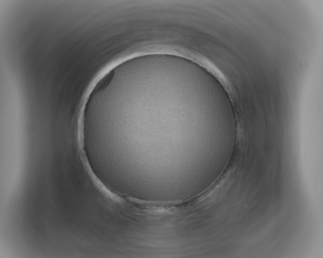 X0000112951528200909141357