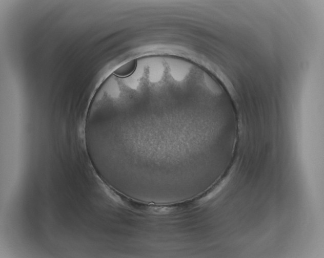 X0000112951529200909141357