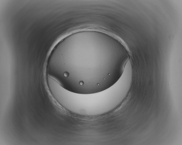 X0000112951530200909141357