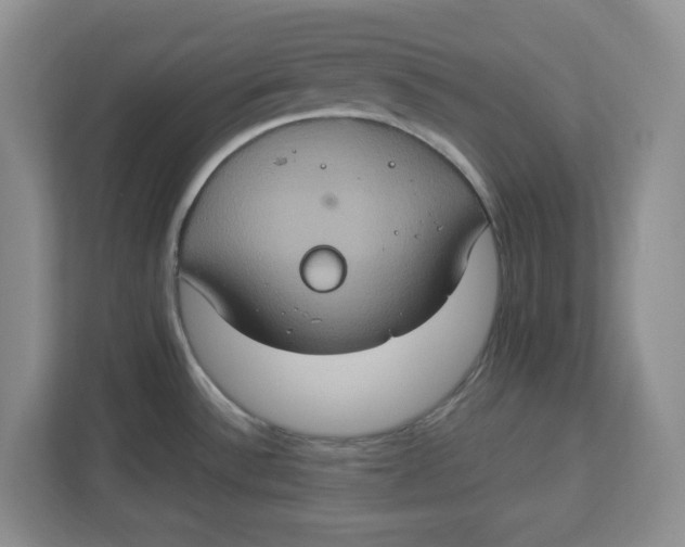 X0000112951532200909141357