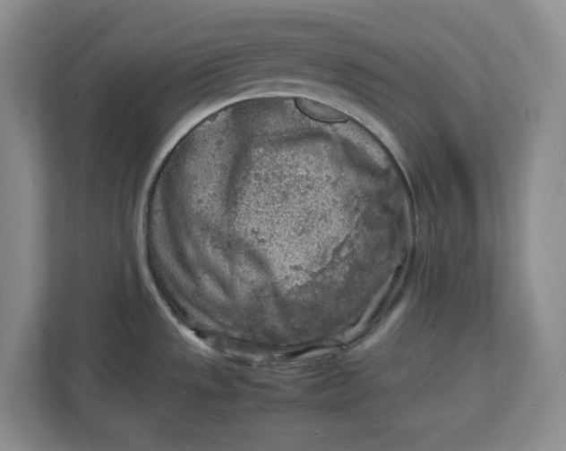 X0000112951533200909141357