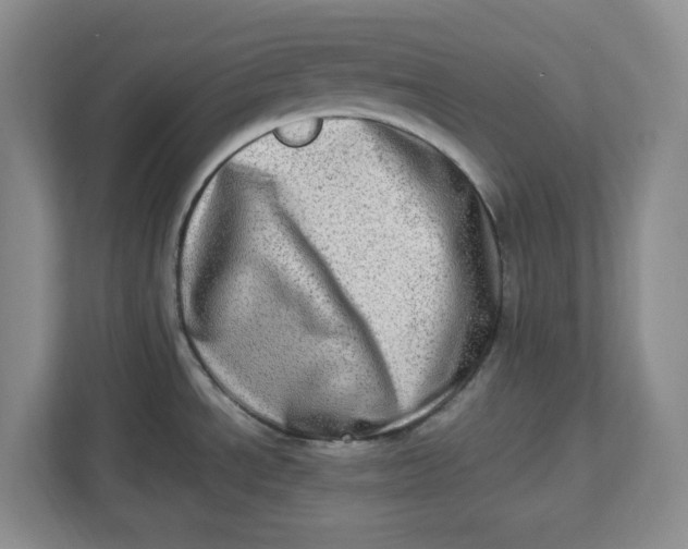 X0000112951534200909141357