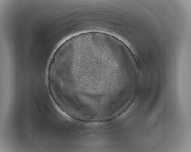 X0000112951535200909141357