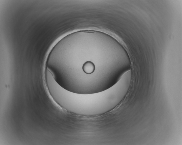 X0000112951536200909141357