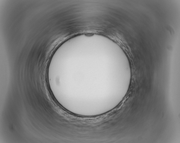 X0000112950001200909211204