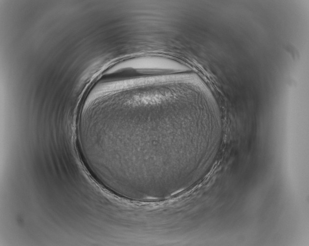 X0000112950002200909211204