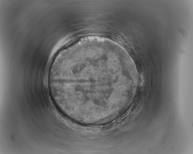 X0000112950004200909211204