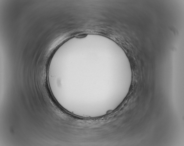 X0000112950005200909211204