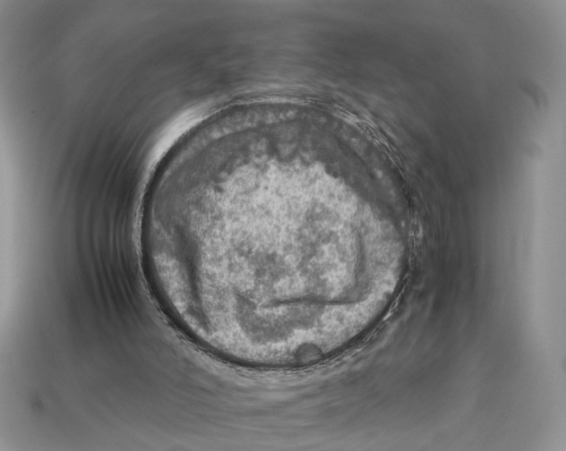 X0000112950006200909211204