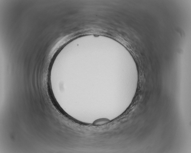 X0000112950007200909211204