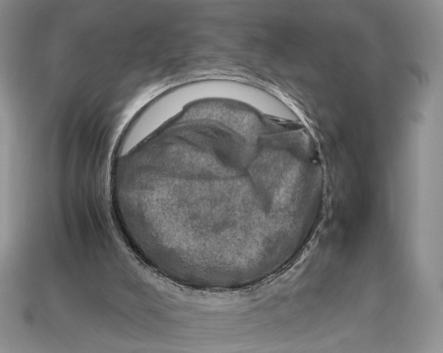 X0000112950008200909211204