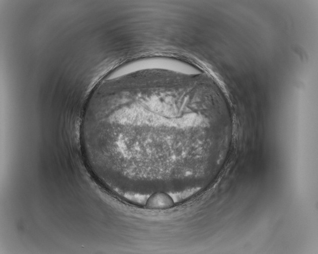 X0000112950010200909211204