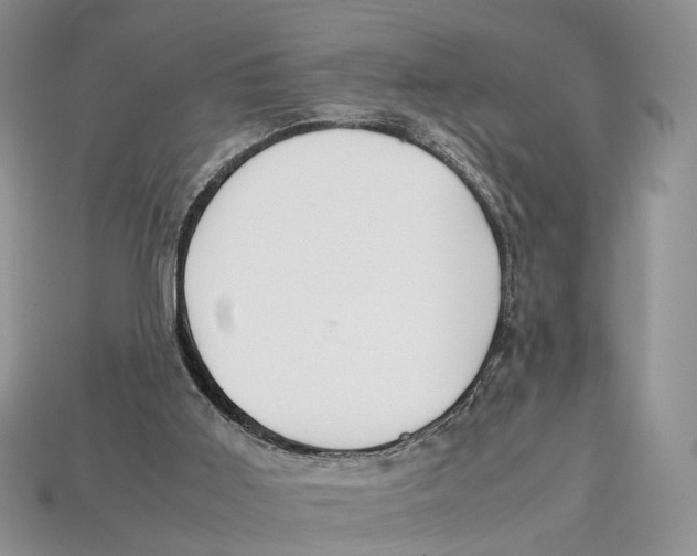 X0000112950011200909211204