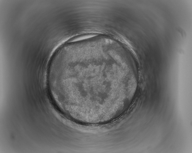 X0000112950012200909211204