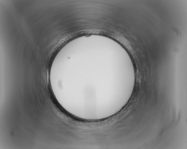 X0000112950013200909211204
