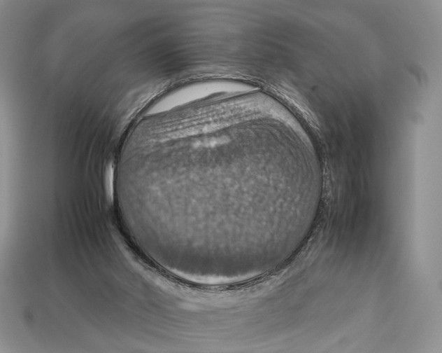 X0000112950014200909211204