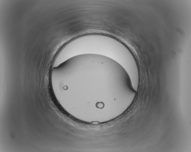 X0000112950015200909211204