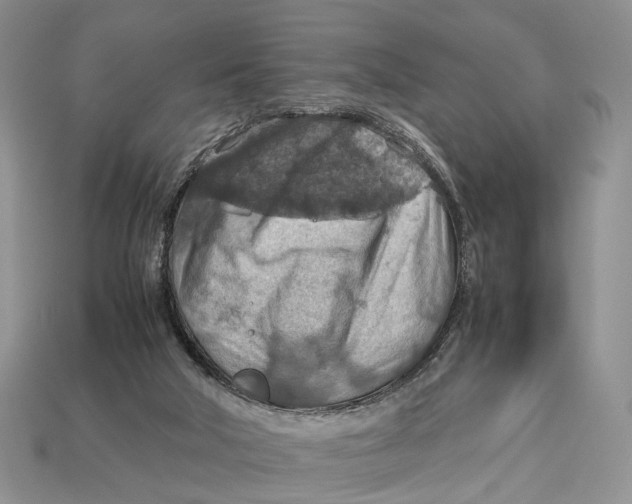 X0000112950018200909211204