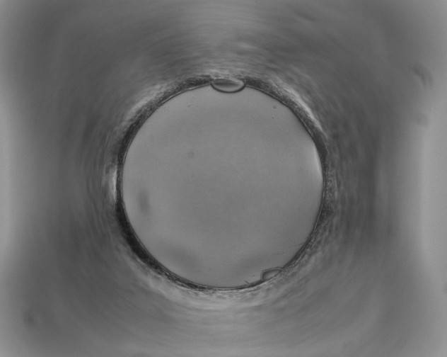 X0000112950019200909211204