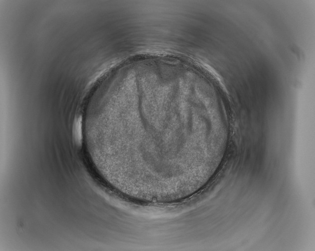 X0000112950020200909211204