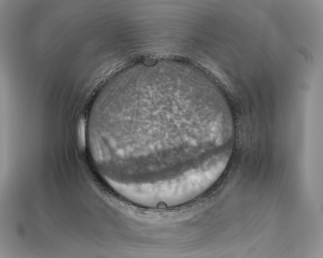 X0000112950022200909211204