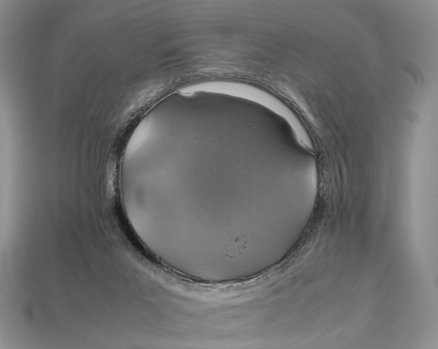 X0000112950023200909211204