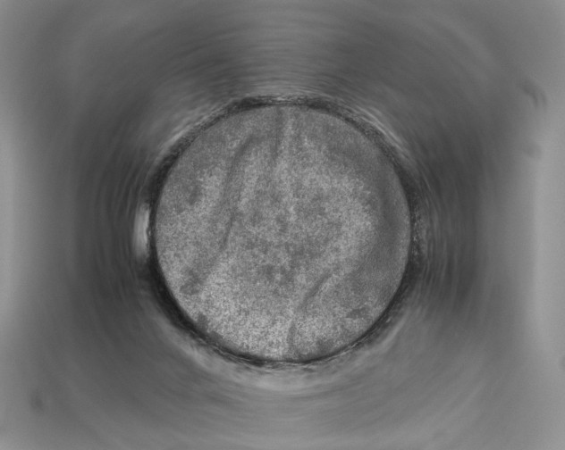 X0000112950024200909211204
