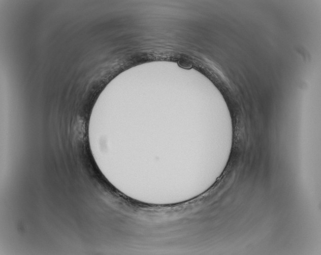 X0000112950025200909211204
