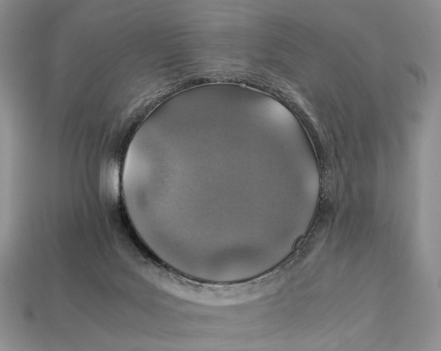 X0000112950027200909211204