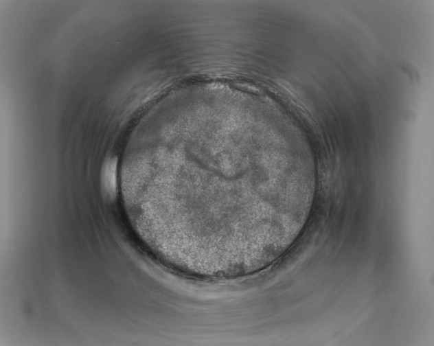 X0000112950028200909211204